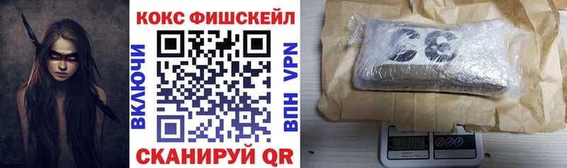 Cocaine FishScale  магазин    Нерчинск 