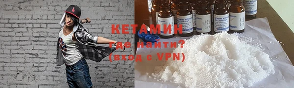прущие грибы Михайлов