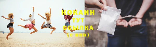 прущие грибы Михайлов