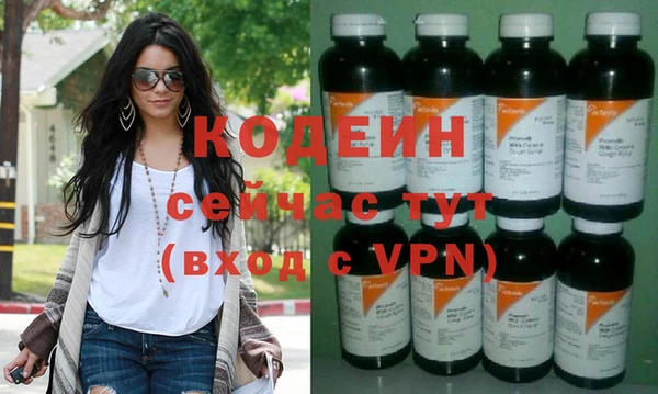 прущие грибы Михайлов