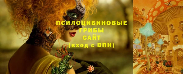 прущие грибы Михайлов
