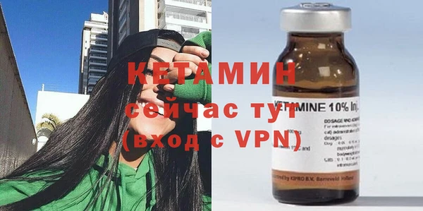 прущие грибы Михайлов