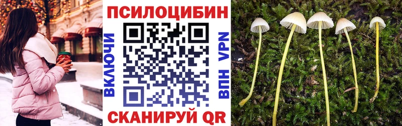 Псилоцибиновые грибы MAGIC MUSHROOMS дарк нет формула Нерчинск